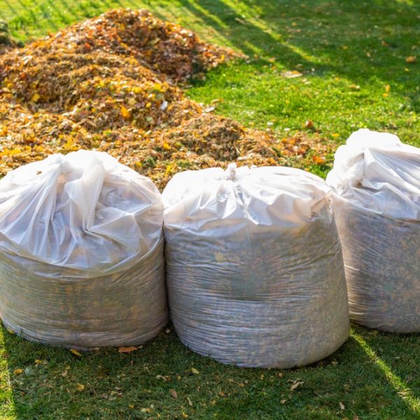 Three bin bags of garden waste